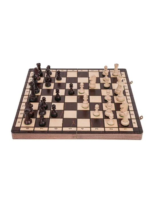 Schach Sport