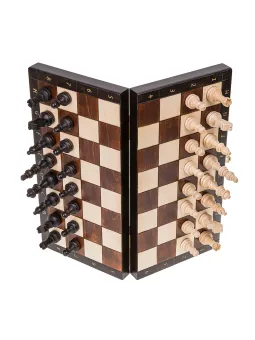 Chess Magnetic AG