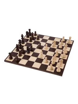 Profi Schach Set Nr 6 - Amerika