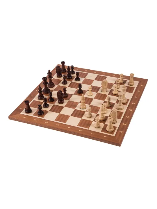 Jeu d'echecs professionnel n ° 5 - Europe