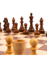 SQUARE - Schach Shop - Nuss Standard D - Schach Set Ferrer