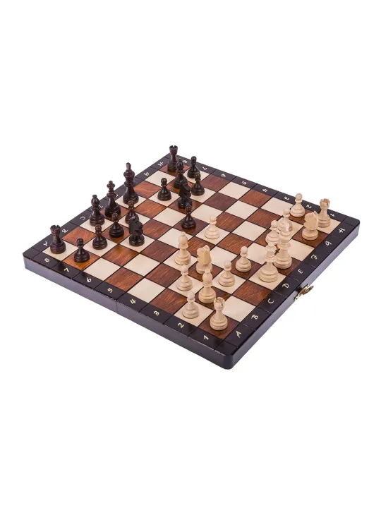 Schach Magnetisch